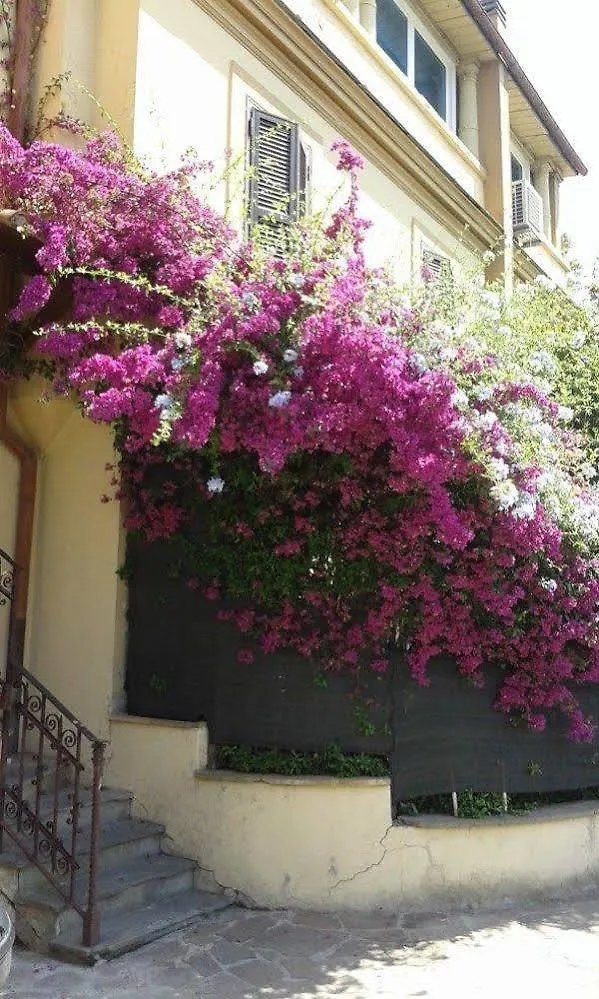 Accommodation Roma Imperiale Rome